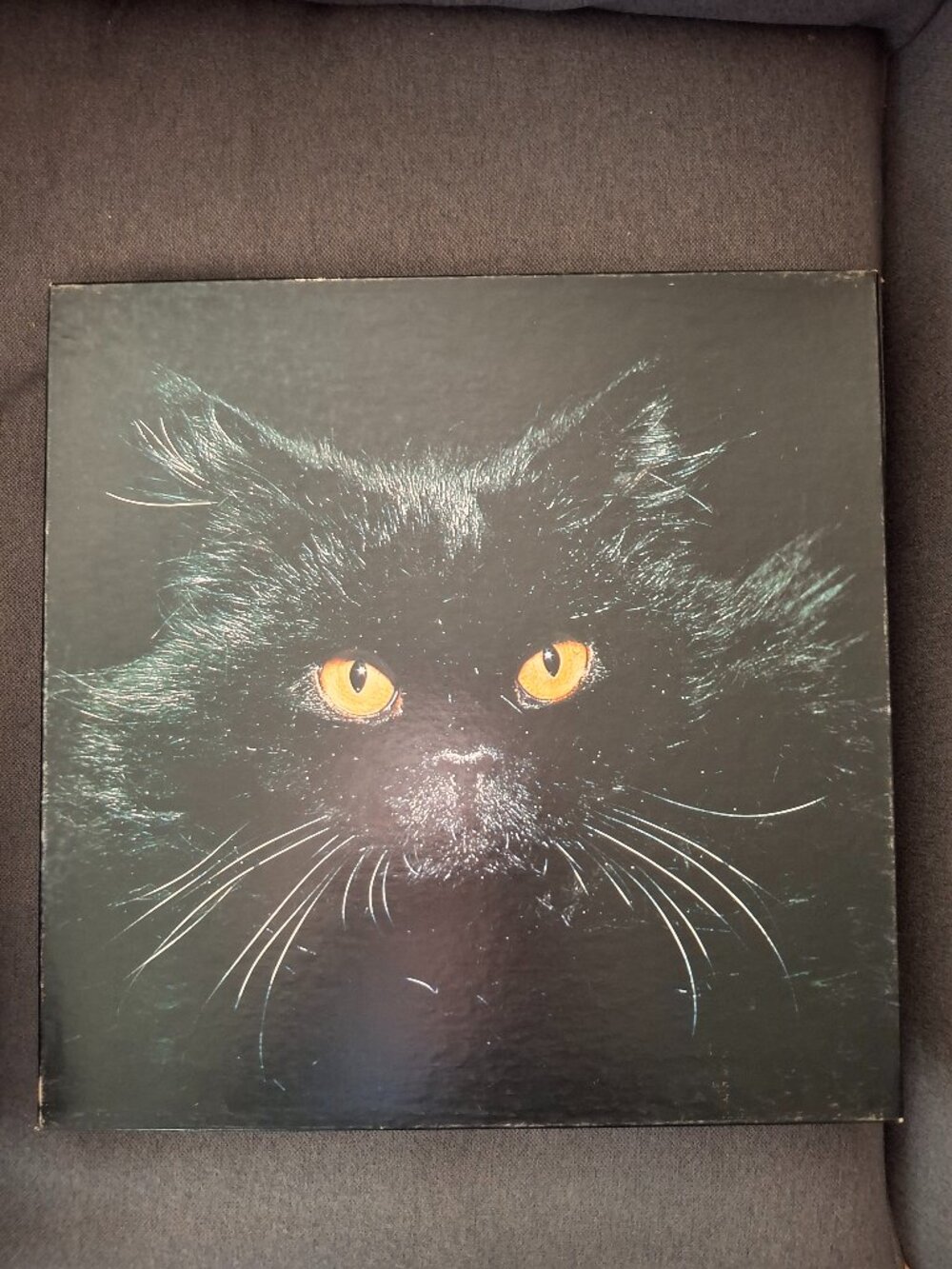 Vintage EUC Springbok jigsaw puzzle "Midnight"